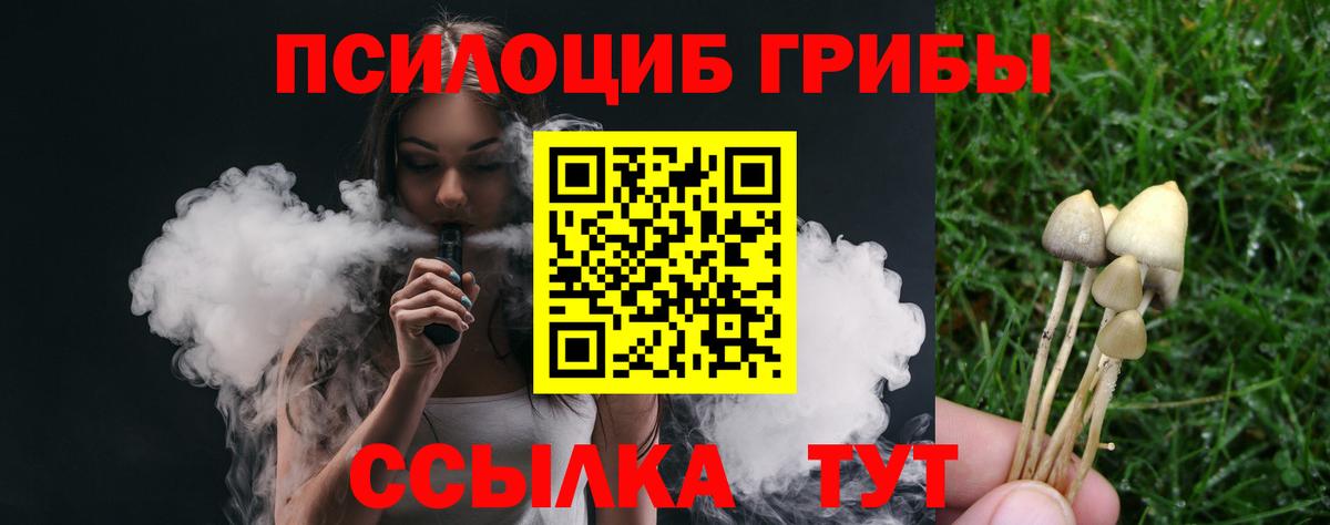 Энгельс  Галлюциногенные грибы Psilocybine cubensis  Вход с VPN 