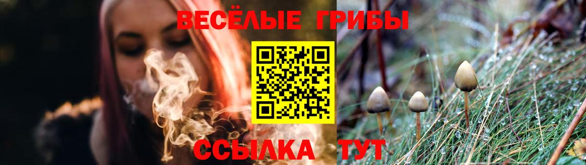 Галлюциногенные грибы Cubensis Энгельс